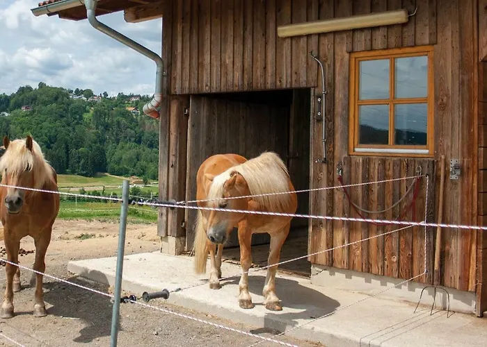 Dichtl Lejlighed Grafenau (Bavaria)